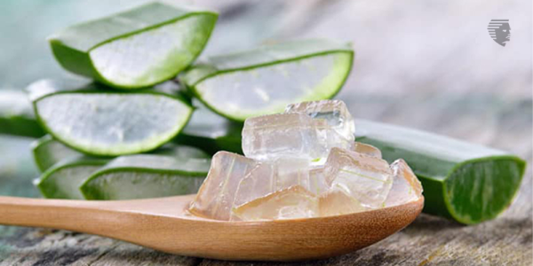 Is Aloe Vera Good for Hair Loss?
